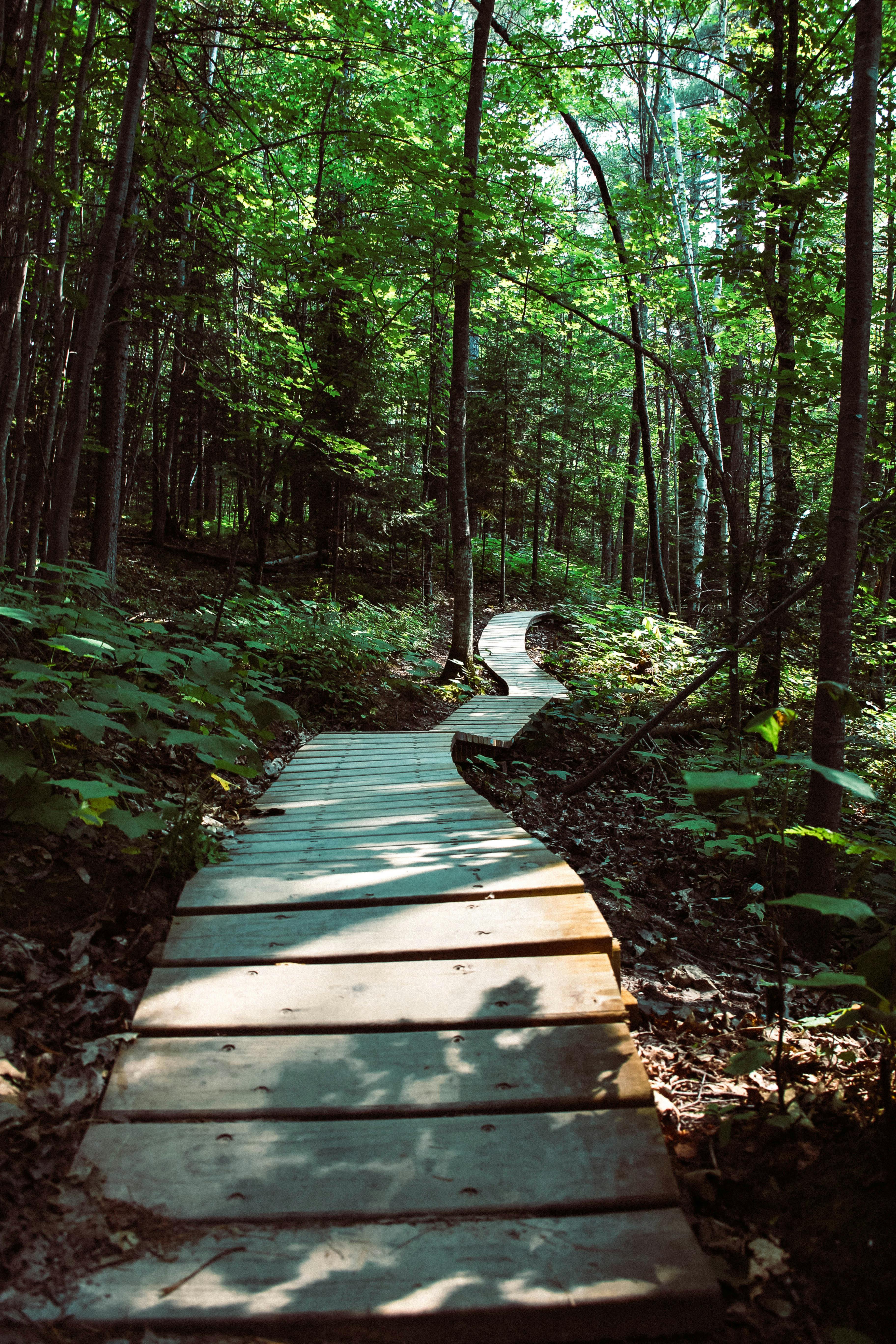 Trail 2